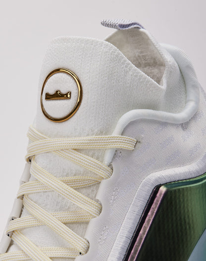 Nike LeBron XXIII 'For The Record'